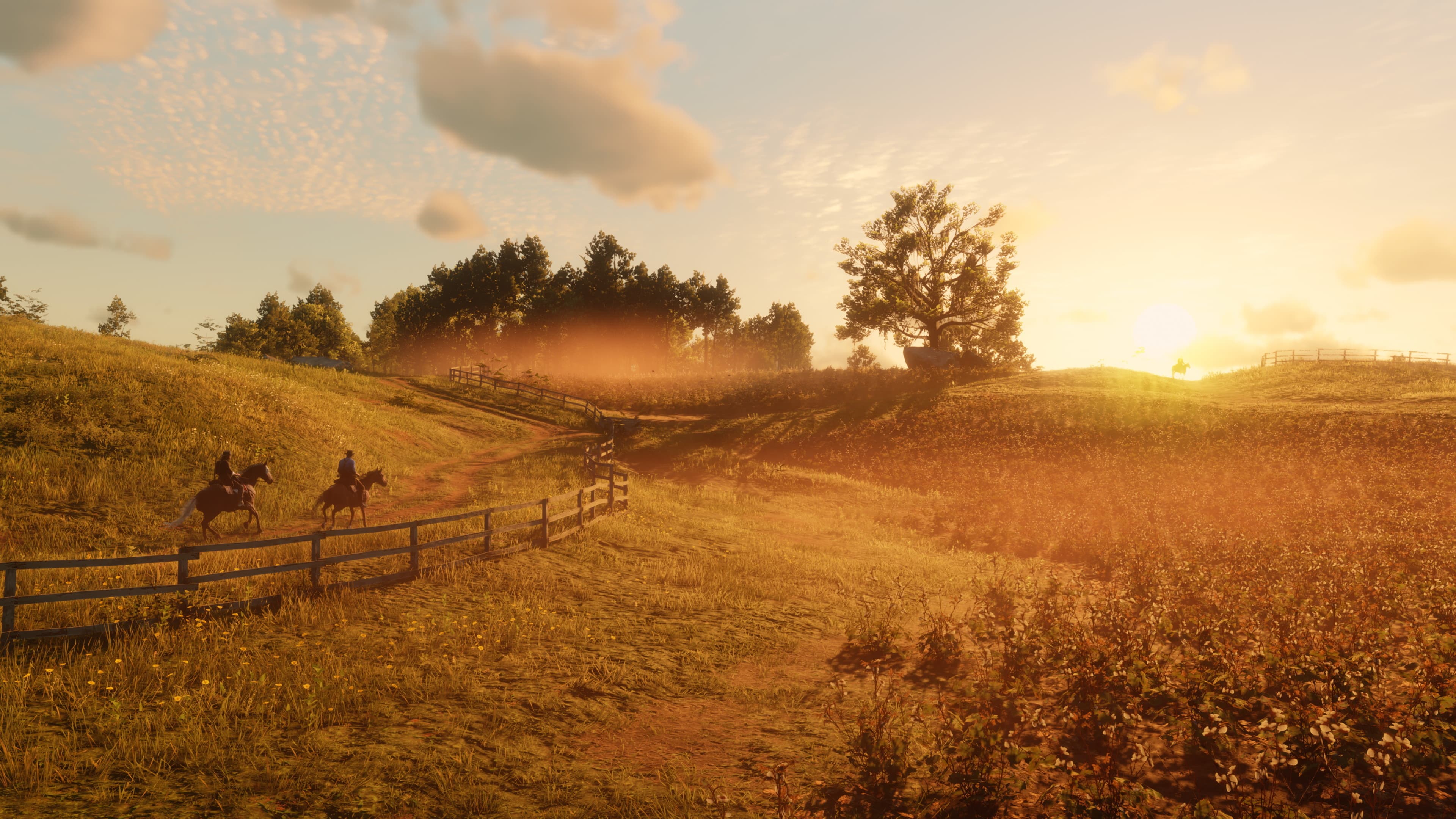 Horseback riders move along a fenced trail at sunset, surrounded by golden fields and distant trees.